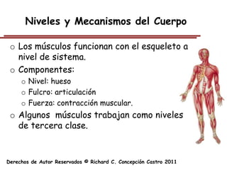 Niveles y Mecanismos del Cuerpo

 o Los músculos funcionan con el esqueleto a
   nivel de sistema.
 o Componentes:
     o Nivel: hueso
     o Fulcro: articulación
     o Fuerza: contracción muscular.
 o Algunos músculos trabajan como niveles
   de tercera clase.


Derechos de Autor Reservados © Richard C. Concepción Castro 2011
 