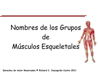 Nombres de los Grupos
               de
      Músculos Esqueletales


Derechos de Autor Reservados © Richard C. Concepción Castro 2011
 