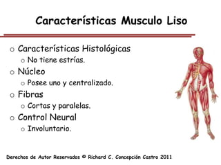Características Musculo Liso

 o Características Histológicas
     o No tiene estrías.
 o Núcleo
     o Posee uno y centralizado.
 o Fibras
     o Cortas y paralelas.
 o Control Neural
     o Involuntario.


Derechos de Autor Reservados © Richard C. Concepción Castro 2011
 