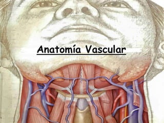 Anatomía Vascular




Derechos de Autor Reservados © Richard C. Concepción Castro 2011
 