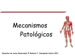Mecanismos
             Patológicos

Derechos de Autor Reservados © Richard C. Concepción Castro 2011
 