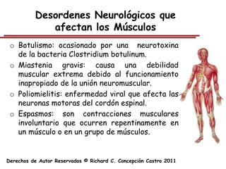 Desordenes Neurológicos que
             afectan los Músculos
 o Botulismo: ocasionado por una neurotoxina
   de la bacteria Clostridium botulinum.
 o Miastenia gravis: causa una debilidad
   muscular extrema debido al funcionamiento
   inapropiado de la unión neuromuscular.
 o Poliomielitis: enfermedad viral que afecta las
   neuronas motoras del cordón espinal.
 o Espasmos: son contracciones musculares
   involuntario que ocurren repentinamente en
   un músculo o en un grupo de músculos.


Derechos de Autor Reservados © Richard C. Concepción Castro 2011
 