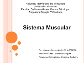 Republica Bolivariana De Venezuela
Universidad Yacambú
Facultad De Humanidades, Carrera Psicología
Asignatura Biología Y Conducta
Sistema Muscular
Participante: Carmen Marín C.I.V-5091600
Facilitador: Msc. Xiomara Rodriguez
Asignatura: Principios de Biología y Conducta
 