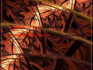 Músculo esquelético