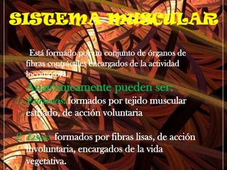 SISTEMA MUSCULAREstá formado por un conjunto de órganos de fibras contráctiles encargados de la actividad locomotora.Anatómicamente pueden ser:Estriados:formados por tejido muscular estriado, de acción voluntariaLisos: formados por fibras lisas, de acción involuntaria, encargados de la vida vegetativa.