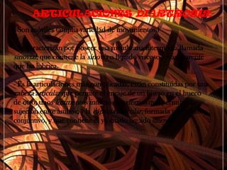 LAS ARTICULACIONESSon zonas de unión entre dos huesos contiguos. Se distinguen tres tipos básicos:Se distinguen 3 tipos Articulaciones:1. Sinartrosis2. Anfiartrosis3. Diartrosis-