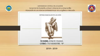 UNIVERSIDAD CENTRAL DEL ECUADOR
FACULTAD DE FILOSOFÍA, LETRAS Y CIENCIAS DE LA EDUCACIÓN
PEDAGOGÍA DE LAS CIENCIAS EXPERIMENTALES DE LA QUÍMICA Y BIOLOGÍA
SISTEMA MUSCULAR DE LAS AVES
NOMBRE: BYRON VILEMA
CURSO: 7TO SEMESTRE “B”
2019 – 2019
 