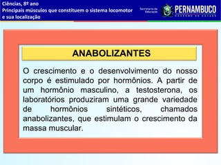 ANABOLIZANTES
O crescimento e o desenvolvimento do nosso
corpo é estimulado por hormônios. A partir de
um hormônio masculino, a testosterona, os
laboratórios produziram uma grande variedade
de hormônios sintéticos, chamados
anabolizantes, que estimulam o crescimento da
massa muscular.
Ciências, 8º ano
Principais músculos que constituem o sistema locomotor
e sua localização
 