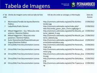 Tabela de Imagens
n° do
slide
direito da imagem como está ao lado da foto link do site onde se consegiu a informação Data do
Acesso
3 Montrealais/Tendão de Aquiles/Domínio
Público.
http://commons.wikimedia.org/wiki/File:Achilles-
tendon.jpg
17/09/2012
7 LadyofHats/Public Domain. http://commons.wikimedia.org/w/index.php?
title=File:Smiley_green_alien_mmm.svg&page=1
17/09/2012
13 Mikael Häggström – Scy / Músculos vista
anterior / Domínio Público.
http://commons.wikimedia.org/wiki/File:Muscles_an
terior_labeled_fr.png
17/09/2012
14 Mikael Häggström / Músculos vista
posterior / Domínio Público.
http://commons.wikimedia.org/wiki/File:Muscle_pos
terior_labeled.png
17/09/2012
15 Autor Desconhecido/Disponibilizado por
Engusz/Domínio Público.
http://commons.wikimedia.org/wiki/File:Musculusst
ernocleidomastodieus.png
17/09/2012
16 Chrizz/GNU Free Documentation License. http://commons.wikimedia.org/wiki/File:Pectoralis_
major.png
17/09/2012
17 Chrizz/GNU Free Documentation License. http://commons.wikimedia.org/wiki/File:Pectoralis_
minor.png
17/09/2012
18 Chrizz/GNU Free Documentation License. http://commons.wikimedia.org/wiki/File:Biceps_brac
hii.png
17/09/2012
19 Chrizz/GNU Free Documentation License. http://commons.wikimedia.org/wiki/File:Deltoideus.
png
17/09/2012
20 Chrizz/GNU Free Documentation License. http://commons.wikimedia.org/wiki/File:Trapezius.p
ng
17/09/2012
 
