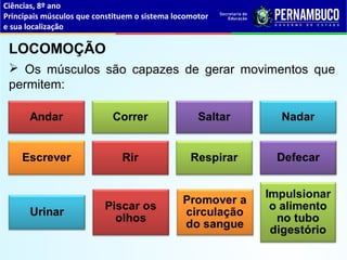 Ciências, 8º ano
Principais músculos que constituem o sistema locomotor
e sua localização
LOCOMOÇÃO
 Os músculos são capazes de gerar movimentos que
permitem:
 