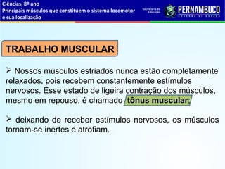 Ciências, 8º ano
Principais músculos que constituem o sistema locomotor
e sua localização
TRABALHO MUSCULAR
 Nossos músculos estriados nunca estão completamente
relaxados, pois recebem constantemente estímulos
nervosos. Esse estado de ligeira contração dos músculos,
mesmo em repouso, é chamado tônus muscular;
 deixando de receber estímulos nervosos, os músculos
tornam-se inertes e atrofiam.
 
