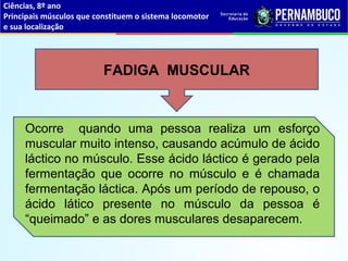 Ciências, 8º ano
Principais músculos que constituem o sistema locomotor
e sua localização
FADIGA MUSCULAR
Ocorre quando uma pessoa realiza um esforço
muscular muito intenso, causando acúmulo de ácido
láctico no músculo. Esse ácido láctico é gerado pela
fermentação que ocorre no músculo e é chamada
fermentação láctica. Após um período de repouso, o
ácido lático presente no músculo da pessoa é
“queimado” e as dores musculares desaparecem.
 