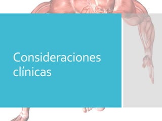 Consideraciones
clínicas
 