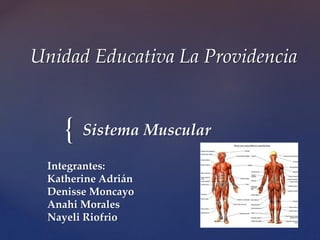 {
Unidad Educativa La Providencia
Sistema Muscular
Integrantes:
Katherine Adrián
Denisse Moncayo
Anahi Morales
Nayeli Riofrio
 