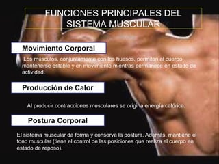 FUNCIONES PRINCIPALES DEL
SISTEMA MUSCULAR
Movimiento Corporal
Los músculos, conjuntamente con los huesos, permiten al cuerpo
mantenerse estable y en movimiento mientras permanece en estado de
actividad.
Producción de Calor
Al producir contracciones musculares se origina energía calórica.
Postura Corporal
El sistema muscular da forma y conserva la postura. Además, mantiene el
tono muscular (tiene el control de las posiciones que realiza el cuerpo en
estado de reposo).
 