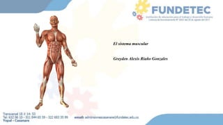 El sistema muscular
Greyden Alexis Riaño Gonzales
 