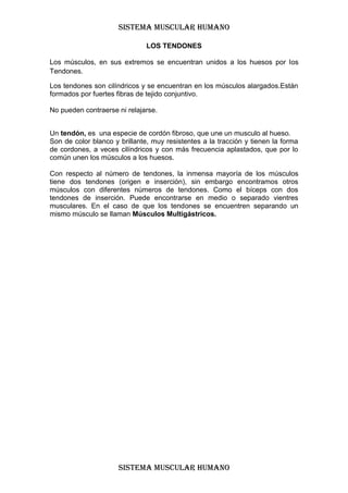 SISTEMA MUSCULAR HUMANO

                               LOS TENDONES

Los músculos, en sus extremos se encuentran unidos a los huesos por los
Tendones.

Los tendones son cilíndricos y se encuentran en los músculos alargados.Están
formados por fuertes fibras de tejido conjuntivo.

No pueden contraerse ni relajarse.


Un tendón, es una especie de cordón fibroso, que une un musculo al hueso.
Son de color blanco y brillante, muy resistentes a la tracción y tienen la forma
de cordones, a veces cilíndricos y con más frecuencia aplastados, que por lo
común unen los músculos a los huesos.

Con respecto al número de tendones, la inmensa mayoría de los músculos
tiene dos tendones (origen e inserción), sin embargo encontramos otros
músculos con diferentes números de tendones. Como el bíceps con dos
tendones de inserción. Puede encontrarse en medio o separado vientres
musculares. En el caso de que los tendones se encuentren separando un
mismo músculo se llaman Músculos Multigástricos.




                      SISTEMA MUSCULAR HUMANO
 