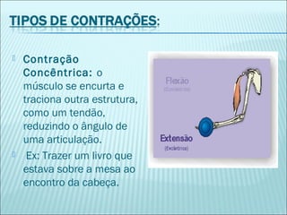  Contração
Concêntrica: o
músculo se encurta e
traciona outra estrutura,
como um tendão,
reduzindo o ângulo de
uma articulação.
 Ex: Trazer um livro que
estava sobre a mesa ao
encontro da cabeça.
 
