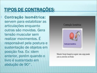  Contração Isométrica:
servem para estabilizar as
articulações enquanto
outras são movidas. Gera
tensão muscular sem
realizar movimentos. É
responsável pela postura e
sustentação de objetos em
posição fixa. Ex: idem
anterior, porém quando o
livro é sustentado em
abdução de 90°.
 