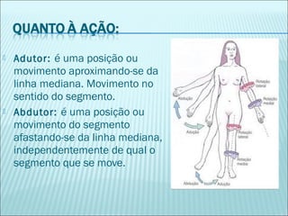  Adutor: é uma posição ou
movimento aproximando-se da
linha mediana. Movimento no
sentido do segmento.
 Abdutor: é uma posição ou
movimento do segmento
afastando-se da linha mediana,
independentemente de qual o
segmento que se move.
 