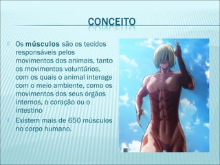  Os músculos são os tecidos
responsáveis pelos
movimentos dos animais, tanto
os movimentos voluntários,
com os quais o animal interage
com o meio ambiente, como os
movimentos dos seus órgãos
internos, o coração ou o
intestino
 Existem mais de 650 músculos
no corpo humano.
 