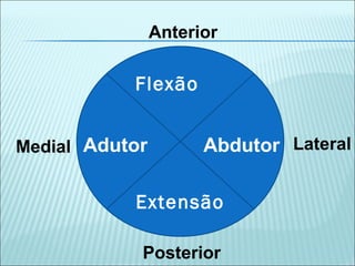 Flexão
Extensão
Adutor Abdutor
Anterior
Posterior
Medial Lateral
 