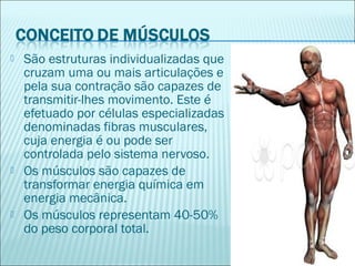  São estruturas individualizadas que
cruzam uma ou mais articulações e
pela sua contração são capazes de
transmitir-lhes movimento. Este é
efetuado por células especializadas
denominadas fibras musculares,
cuja energia é ou pode ser
controlada pelo sistema nervoso.
 Os músculos são capazes de
transformar energia química em
energia mecânica.
 Os músculos representam 40-50%
do peso corporal total.
 