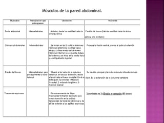 Músculos de la pared abdominal.
 