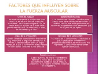 Grosor del Músculo:
•La fuerza aumenta con el aumento de masa
muscular, es decir el área de su sección
transversal. Naturalmente la predicción de
fuerza muscular a partir de la masa ha de
ponderarse con otros factores como la edad,
entrenamiento y el sexo.
Longitud del Músculo:
•Los músculos se contraen con más fuerza
cuando antes de la contracción se hallan a la
máxima tensión, que es la que adquieren
cuando están ligeramente mas extendidos que
en su posición de reposo.
Ángulo de la Articulación:
•Cuando se realiza un movimiento muscular es
muy importante el ángulo de partida para el
mismo. Cada articulación tiene un ángulo
idóneo, en el que la tracción del músculo sobre
el hueso donde se inserta es mas efectiva.
Velocidad de la Contracción:
•La fuerza de la contracción y la velocidad a
que se produce son inversamente
proporcionales entre si, es decir cuanto mas
rápida sea la contracción menos fuerza
ejercerá el músculo.
Precalentamiento:
•El calor aumenta no solo la velocidad sino
también la fuerza de la contracción. El
calentamiento puede ser pasivo (masajes,
ultrasonido, etc.) o activo mediante ejercicios
precompetitivos.
 