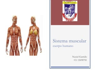 Sistema muscular
cuerpo humano
Naxiel Garrido
CI: 12698781
 