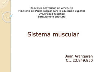 Sistema muscular
Juan Aranguren
CI.:23.849.850
República Bolivariana de Venezuela
Ministerio del Poder Popular para la Educación Superior
Universidad Yacambu
Barquisimeto Edo-Lara
 