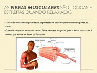 AS FIBRAS MUSCULARES SÃO LONGAS E
ESTREITAS QUANDO RELAXADAS.
•São células contráteis especializadas, organizadas em tecidos que movimentam partes do
corpo.
•O tecido conjuntivo associado conduz fibras nervosas e capilares para as fibras musculares à
medida que as une em feixes ou fascículos.
 