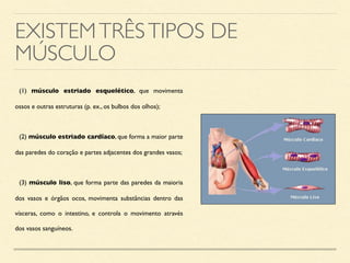 EXISTEMTRÊSTIPOS DE
MÚSCULO
(1) músculo estriado esquelético, que movimenta
ossos e outras estruturas (p. ex., os bulbos dos olhos);
(2) músculo estriado cardíaco, que forma a maior parte
das paredes do coração e partes adjacentes dos grandes vasos;
(3) músculo liso, que forma parte das paredes da maioria
dos vasos e órgãos ocos, movimenta substâncias dentro das
vísceras, como o intestino, e controla o movimento através
dos vasos sanguíneos.
 