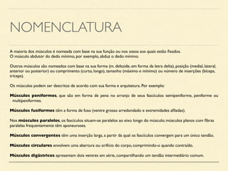 NOMENCLATURA
A maioria dos músculos é nomeada com base na sua função ou nos ossos aos quais estão fixados.
O músculo abdutor do dedo mínimo, por exemplo, abduz o dedo mínimo.
Outros músculos são nomeados com base na sua forma (m. deltoide, em forma da letra delta), posição (medial, lateral,
anterior ou posterior) ou comprimento (curto, longo), tamanho (máximo e mínimo) ou número de inserções (bíceps,
tríceps).
Os músculos podem ser descritos de acordo com sua forma e arquitetura. Por exemplo:
Músculos peniformes, que são em forma de pena no arranjo de seus fascículos: semipeniforme, peniforme ou
multipeniformes.
Músculos fusiformes têm a forma de fuso (ventre grosso arredondado e extremidades afiladas).
Nos músculos paralelos, os fascículos situam-se paralelos ao eixo longo do músculo; músculos planos com fibras
paralelas frequentemente têm aponeuroses.
Músculos convergentes têm uma inserção larga, a partir da qual os fascículos convergem para um único tendão.
Músculos circulares envolvem uma abertura ou orifício do corpo, comprimindo-o quando contraído.
Músculos digástricos apresentam dois ventres em série, compartilhando um tendão intermediário comum.
 