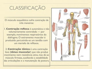 CLASSIFICAÇÃO
O músculo esquelético sofre contração de
três maneiras:
1. Contração reflexa é automática e não
voluntariamente controlada — por
exemplo, movimentos respiratórios do
diafragma. O estiramento muscular é
produzido percutindo-se um tendão com
um martelo de reflexos.
2. Contração tônica é uma contração
leve (tônus muscular) que não produz
movimento nem resistência ativa, mas dá ao
músculo firmeza, auxiliando a estabilidade
das articulações e a manutenção da postura.
 
