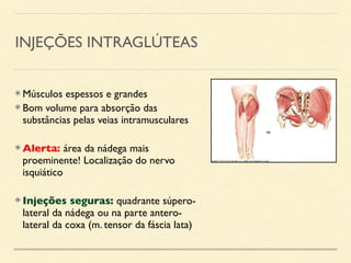 sistema muscular_prof douglas (1).pdf