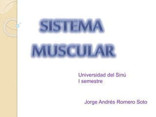 Jorge Andrés Romero Soto
Universidad del Sinú
I semestre
 