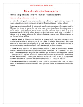 REPASO PARCIAL MUSCULOS
Músculos del miembro superior:
Músculos axioapendiculares anteriores, posteriores y escapulohumerales:
Músculos axioapendiculares anteriores:
Los músculos axioapendiculares anteriores (toracoapendiculares o pectorales) que mueven la
cintura escapular son cuatro: pectoral mayor, pectoral menor, subclavio y serrato anterior.
El pectoral mayor es un músculo de gran tamaño y en forma de abanico que cubre la parte superior
del tórax. Está dotado de una porción clavicular y una esternocostal. La porción esternocostal es
mucho mayor, y su borde lateral aporta la masa muscular que forma la mayor parte de la pared
anterior de la axila. Su borde inferior constituye el pliegue anterior de la axila (v. «Axila»). El
pectoral mayor y la parte adyacente del deltoides forman el estrecho surco deltopectoral, por el
cual discurre la vena cefálica.
El pectoral menor se sitúa en la pared anterior de la axila, donde está recubierto en su práctica
totalidad por el pectoral mayor, que es mucho más grande. El músculo pectoral menor tiene forma
triangular: su base (inserción proximal) está formada por unas bandas carnosas que se insertan en
los extremos anteriores de las costillas 3. a a 5. acerca de sus cartílagos costales.
El subclavio está orientado casi horizontalmente cuando el brazo se encuentra en posición
anatómica. Este músculo pequeño y redondeado se sitúa inferior a la clavícula y ofrece una cierta
protección a los vasos subclavios y al tronco superior del plexo braquial cuando aquélla se fractura.
La subclavia ancla y deprime la clavícula, estabilizándola durante los movimientos del miembro
superior. También ayuda a contrarrestar la tendencia de la clavícula a luxarse en la articulación
esternoclavicular (p. ej., cuando se tira fuerte en el juego de tira y afloja con una soga).
El serrato anterior cubre la parte lateral del tórax y forma la pared medial de la axila. Esta amplia
lámina de grueso músculo recibe su nombre por la apariencia serrada de sus bandas o digitaciones
carnosas.
 