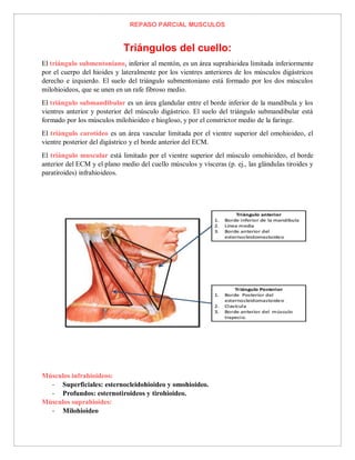 REPASO PARCIAL MUSCULOS
Triángulos del cuello:
El triángulo submentoniano, inferior al mentón, es un área suprahioidea limitada inferiormente
por el cuerpo del hioides y lateralmente por los vientres anteriores de los músculos digástricos
derecho e izquierdo. El suelo del triángulo submentoniano está formado por los dos músculos
milohioideos, que se unen en un rafe fibroso medio.
El triángulo submandibular es un área glandular entre el borde inferior de la mandíbula y los
vientres anterior y posterior del músculo digástrico. El suelo del triángulo submandibular está
formado por los músculos milohioideo e hiogloso, y por el constrictor medio de la faringe.
El triángulo carotídeo es un área vascular limitada por el vientre superior del omohioideo, el
vientre posterior del digástrico y el borde anterior del ECM.
El triángulo muscular está limitado por el vientre superior del músculo omohioideo, el borde
anterior del ECM y el plano medio del cuello músculos y vísceras (p. ej., las glándulas tiroides y
paratiroides) infrahioideos.
Músculos infrahioideos:
- Superficiales: esternocleidohioideo y omohioideo.
- Profundos: esternotiroideos y tirohioideo.
Músculos suprahioides:
- Milohioideo
 