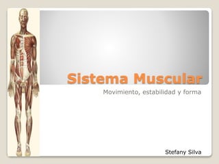Sistema Muscular
Movimiento, estabilidad y forma
Stefany Silva
 