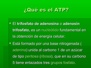 ¿Qué es el ATP?

 El trifosfato de adenosina o adenosin
 trifosfato, es un nucleótido fundamental en
 la obtención de ene...