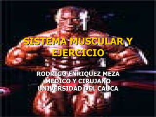 SISTEMA MUSCULAR Y EJERCICIO RODRIGO ENRIQUEZ MEZA MEDICO Y CIRUJANO UNIVERSIDAD DEL CAUCA 