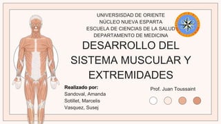 DESARROLLO DEL
SISTEMA MUSCULAR Y
EXTREMIDADES
UNIVERSISDAD DE ORIENTE
NÚCLEO NUEVA ESPARTA
ESCUELA DE CIENCIAS DE LA SALUD
DEPARTAMENTO DE MEDICINA
Realizado por:
Sandoval, Amanda
Sotillet, Marcelis
Vasquez, Susej
Prof. Juan Toussaint
 