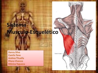 Sistema
Musculo-Esquelético
 