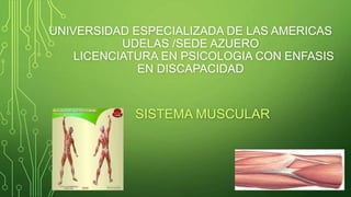 UNIVERSIDAD ESPECIALIZADA DE LAS AMERICAS
UDELAS /SEDE AZUERO
LICENCIATURA EN PSICOLOGIA CON ENFASIS
EN DISCAPACIDAD
SISTEMA MUSCULAR
 