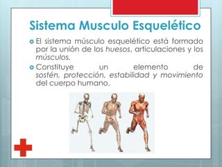 Sistema Musculo Esquelético
 El sistema músculo esquelético está formado
por la unión de los huesos, articulaciones y los
músculos.
 Constituye un elemento de
sostén, protección, estabilidad y movimiento
del cuerpo humano.
 