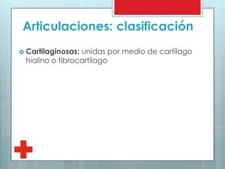 Articulaciones: clasificación
 Cartilaginosas: unidas por medio de cartílago
hialino o fibrocartílago
 