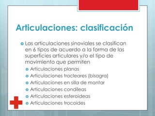 Articulaciones: clasificación
 Las articulaciones sinoviales se clasifican
en 6 tipos de acuerdo a la forma de las
superficies articulares y/o el tipo de
movimiento que permiten
 Articulaciones planas
 Articulaciones trocleares (bisagra)
 Articulaciones en silla de montar
 Articulaciones condíleas
 Articulaciones esferoideas
 Articulaciones trocoides
 