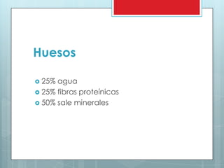  25% agua
 25% fibras proteínicas
 50% sale minerales
Huesos
 