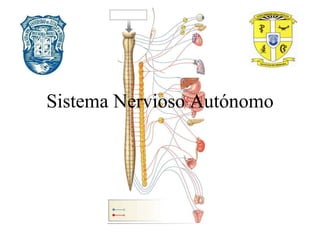 Sistema Nervioso Autónomo

 